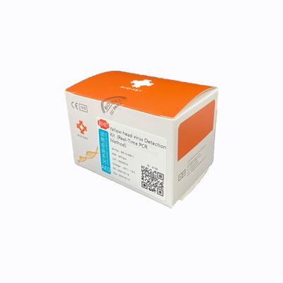 China YHV Taqman Quantitative PCR Kit Yellow Head Virus Rna Test Kit for sale