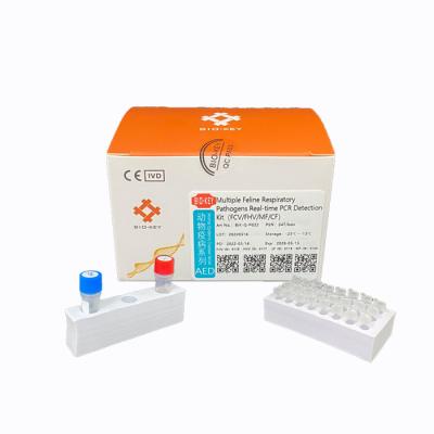 Chine Kits félins Cat Test Chlamydia Fluorescence de sonde d'essai d'ACP Herpesvirus à vendre