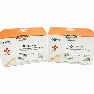 China Herpes Simplexvirus 6 PCR van hsv-6 96tests/Kit Real Time Opsporing Kit Lyophilized Te koop