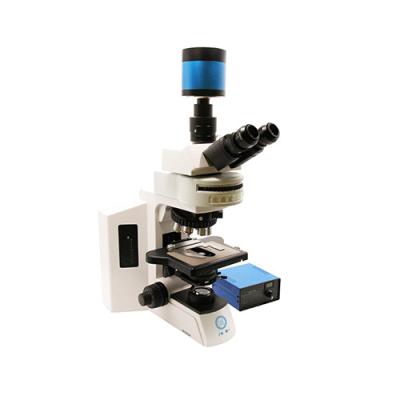 Chine Microscope biologique fluorescent vertical B60F à vendre