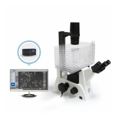 China Inverted Biological Microscope B60iL Special Microscope For Cell Factory Observation for sale