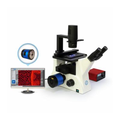 China Streamlined Design B80iF Inverted Biological Microscope For Cell Tissue Observation for sale