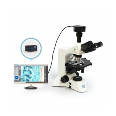 China 30° Tilted Three Eye Cylinder Upright Microscope B60 for sale