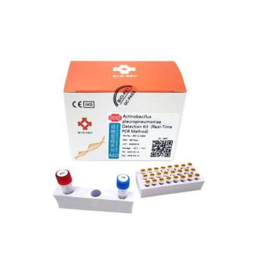 China Actinobacillus Pleuropneumoniae Porcine Test Kit Rt Pcr Fluorescence APP for sale