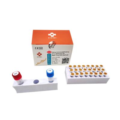 China Kwantitatieve Katachtige FIV-PCR van Testkit immunodeficiency feline cat test Te koop