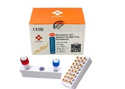 China Nucleic Zuurmycoplasma Kwantitatieve PCR In real time van de Opsporingsuitrusting MFV Te koop