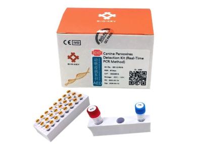 China CPV-Fluoreszenz-Hunde- Hundetest Kit Quantitative Canine Parvovirus Test zu verkaufen