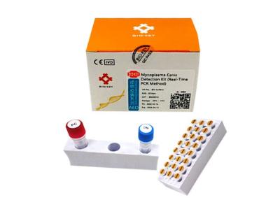 China CMV de Hondsmycoplasma Pcr Uitrusting van Opsporingskit quantitative canine dog test Te koop