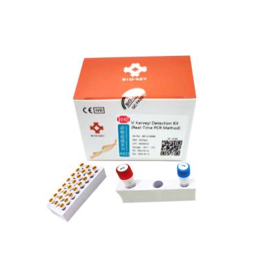 China Wasserprobe-Vibrio Harveyi-Aquakultur-Test-Kit Nucleic Acid Real Time PCR zu verkaufen