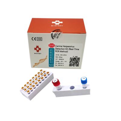 China Taq-Polymerase-Herpes-Virus-Test-Fluoreszenz Hunde- Hundetest-Ausrüstung PCR Hunde- zu verkaufen