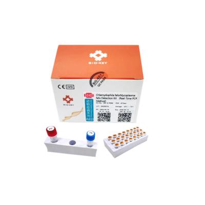 Chine Système félin d'ACP de sonde d'ACP Kit Chlamydophila Real Time Fluorescent de mycoplasma d'ADN Taq à vendre