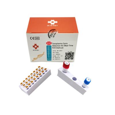 중국 개과 톡소 포자충 시험 키트 CTOX 폴리메라아제 개 DNA QPCR 타크맨-프로브 판매용