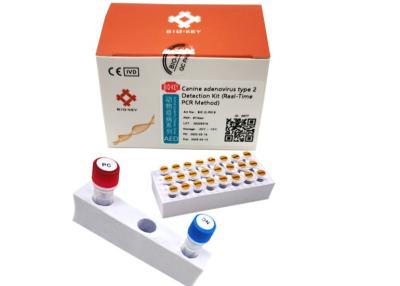 China Hunde- Adenovirus ISO13485 Pcr-Test-Art II Taq Ploymerase Hund-DNA-Test-Ausrüstung zu verkaufen