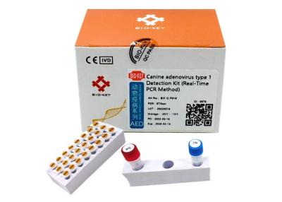 China Hundetest-Kit Taq Polymerase DNAⅠ PCR Hunde- Adenovirus-Test-Kit Types Hunde- zu verkaufen