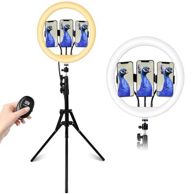 China PORTABLE LR-960 II 18 Inch LED Selfie Ring Light Live Streaming Kit with Phone Holder for TIKKOT Youtube Live for sale