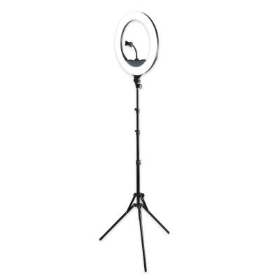 China 20 inch PORTABLE Selfie Ring Light with Tripod Stand and Mobile Phone Holder for Live Stream /Makeup for sale