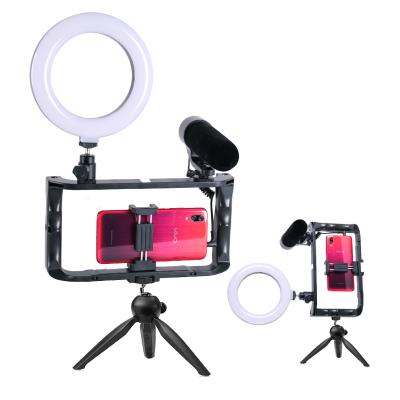 China ABS 4 in 1 Vlogging Live Broadcast 6inch LED Selfie Ring Light Smartphone Video Rig Handle for sale