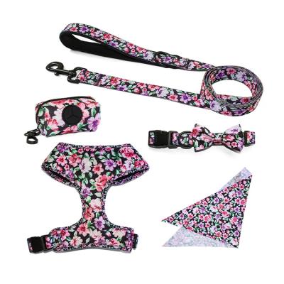 China Padded OEM/ODM Personalized Pet Accessories Print Padded Polyester Pattern Dog Harness Set for sale