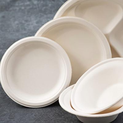 China Biodegradable Eco Sugarcane Tableware Bagasse Pulp Dish Disposable Sugarcane Bagasse Dishes for sale