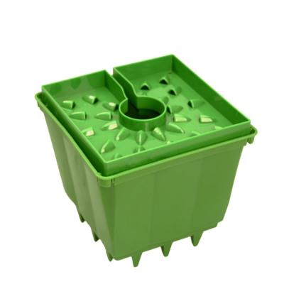 China 4inch 6inch 8inch Growing Buckets in Cap Plant Cube Plant Potted Green Plastic Flowering Hydroponic Eco-Friendly Potted Plant Grow Pot For Greenhouse / Grow Room for sale