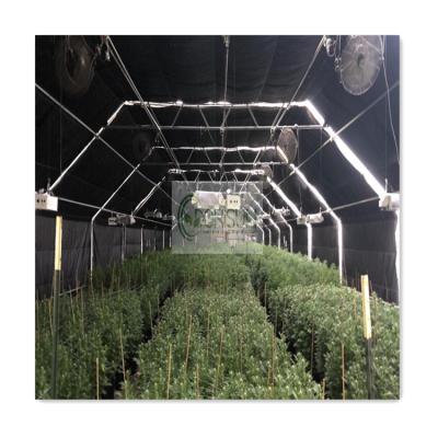 China Medical Plantation for USA Blackout Light Deprivation Blackout Medical Planting Greenhouse 100% for sale