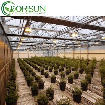 China Medical planting for USA curtain fabric PC sheet multi-span blackout polycarbon thermal greenhouse for sale