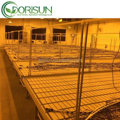 China Greenhouse Medicine Table Bench Hydroponic Growing Vertical Rolling Racks Rolling Bench for sale