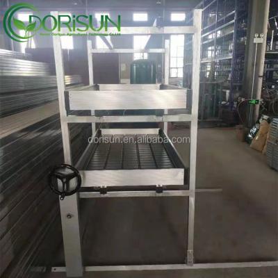 China Greenhouse Medicine Greenhouse Hydroponic Flood And Drain Bench Multilayer Rolling Ebb And Flow Heavy Duty Rolling Table Grow Rack For USA Market for sale