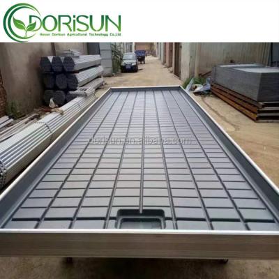 China Greenhouse Medicine Hydroponics Greenhouse Ebb and Flow Drain Rolling Bench Table for sale