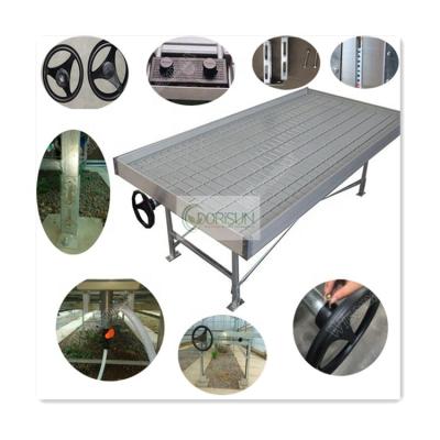 China Greenhouse Medicine Customized Greenhouse Ebb And Flood Seed To Grow Tables Rolling Bench for sale