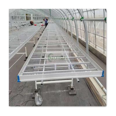 China Mesh Commercial Seedlings Vegetables Flowers Greenhouse Galvanized Steel Wire Mesh Rolling Bench Work Table with Welded Wire Mesh for sale