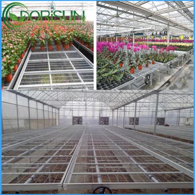 China Mesh Factory Sale Cheap Price Welded Wire Mesh Greenhouse Rolling Wire Mesh Rolling Bench Hydroponic Growing Seedling Table for sale