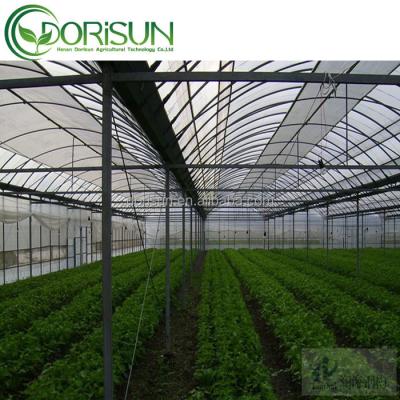 China 2021Hot Sale Polytunnel Side and Top Multi-Span Commercial Ventilation Agricultural Greenhouses for sale