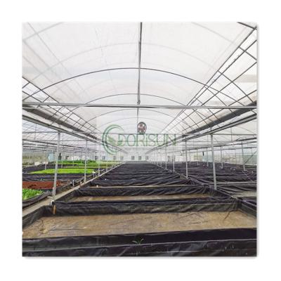 China Factory Supply Multi-span Tomato Side and Top Greenhouse PE Plastic Ventilation Tunnel Greenhouse for sale