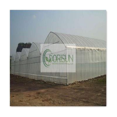 China Side And Top Ventilation 200 Micron Multi-Span UV Resistant Plastic Vegetable Agricultural Film Greenhouse for sale