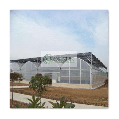 China Easy Installed Side And Top Ventilation PE Film Green House Hydroponic Multi Span Greenhouse Commercial for sale