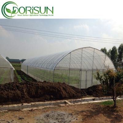 China Vegetable Agricultural PO / PE Tarpaulin Professional Single Span Greenhouse For Tomato for sale