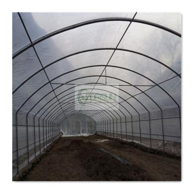 China Low Cost Only Plant Tunnel Agriculture Span Greenhouse Kits Wholesale For Flower Plant for sale