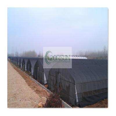 China Vegetable auto plastic shed warm net green house led to grow lightweight agricultural plastic film poly tunnel single span greenhouse for sale