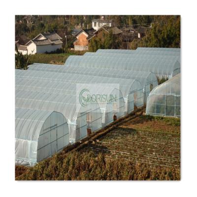 China Low Cost Commercial Vegetable Polycarbonate Manufacturer Green Houses Tent Solar Power Single Span Plastic Sheet Greenhouse For Hemp for sale