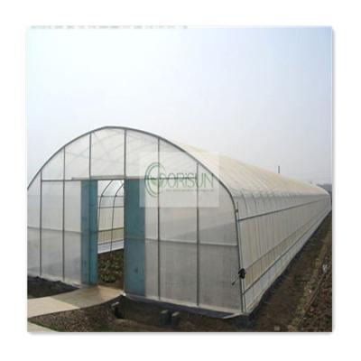 China Vegetable Low Cost 9x30m Green House Heating System Frame Metal Frame Single-Span Agricultural Greenhouse For Vegetables for sale