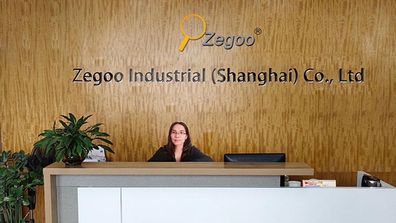 Verified China supplier - Zegoo Industrial (shanghai) Co., Ltd.