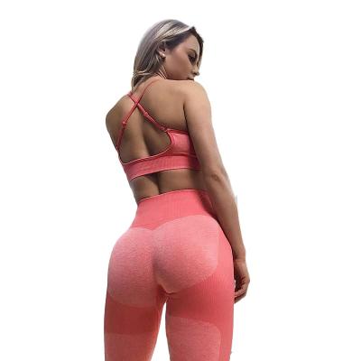 China Fashion Shown Gym Antibacterial Top Fitness Sets Seamless Adults T T for sale