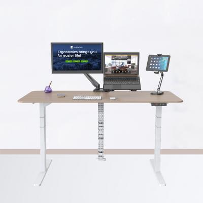 China Single Position Combination (Height) Lift Table Double Motor Electric Table View Lifting Computer Desk for sale