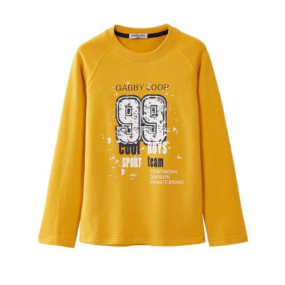 China Anti-pilling Gabby Loop Fleece Crewneck Sweatshirt Kids Boy Sweatshirt for sale