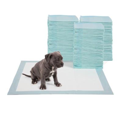 China Wholesale Green Color Stocked 7-Layer Extra Large Puppy Pee Pet Pad Training and Pad for sale