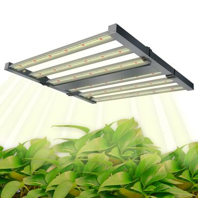 China Seed Starting SLTMAKS 2021 New Design Three Led To Grow Lightweight STG-800W-F-F3 for sale