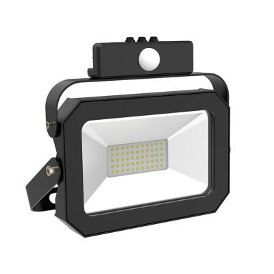 China LANDSCAPE 220v 30w 30watt mini led flood light with motion sensor for sale