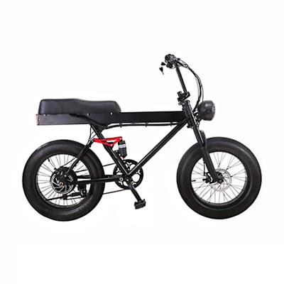 China Hot Sale Aluminum Alloy Mid Dive 1000W Mountain E Bike Li-ion Bike Electric Bicycle for sale