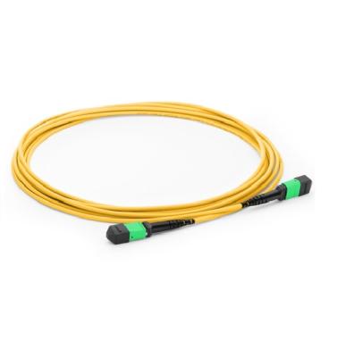 China Telecom Networks MTP MPO 24 Fiber To 24F MTP MPO 24-Fiber Trunk Cable Patch Cord for sale